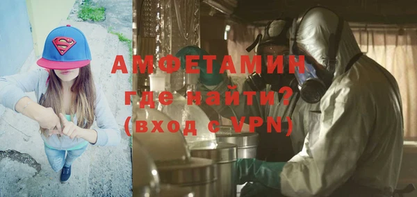 индика Володарск