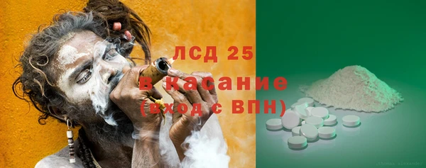 прущие грибы Сясьстрой