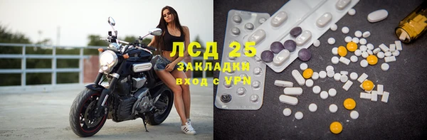 спиды Вяземский