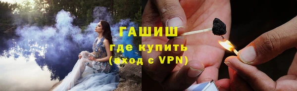 индика Володарск