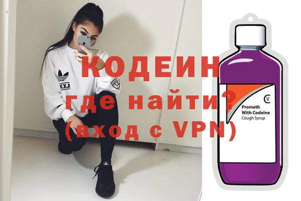 индика Володарск