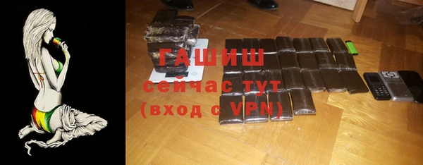 индика Володарск