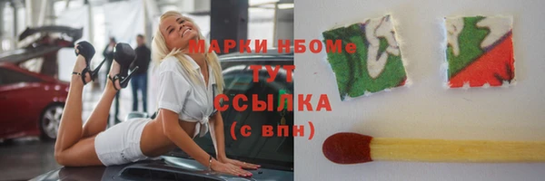 индика Володарск