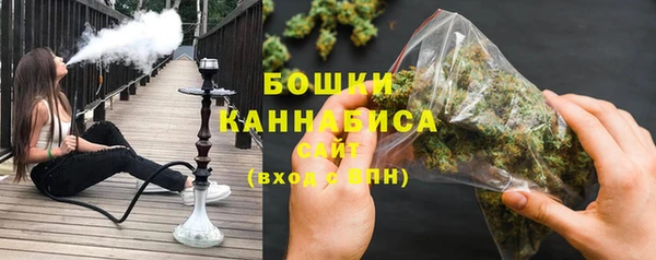 индика Володарск