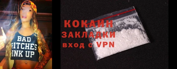 индика Володарск
