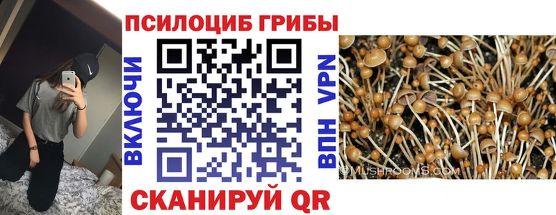 Галлюциногенные грибы Psilocybine cubensis  сколько стоит  Чехов 